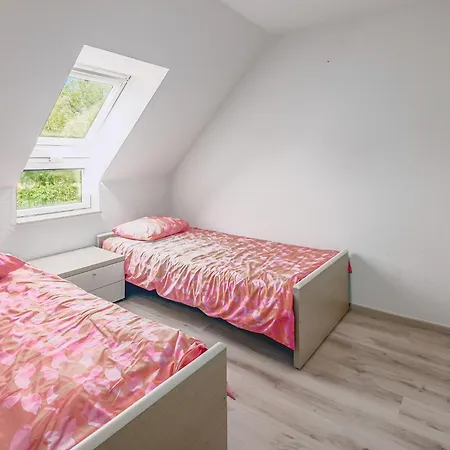 Condor 23 P 니우포르트